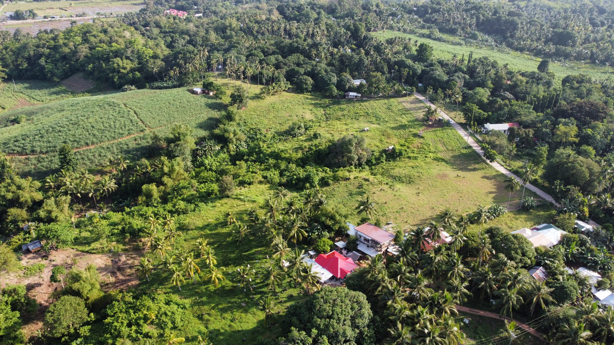 2.3 Hectare Agricultural Lot in Malabugas, Bayawan City