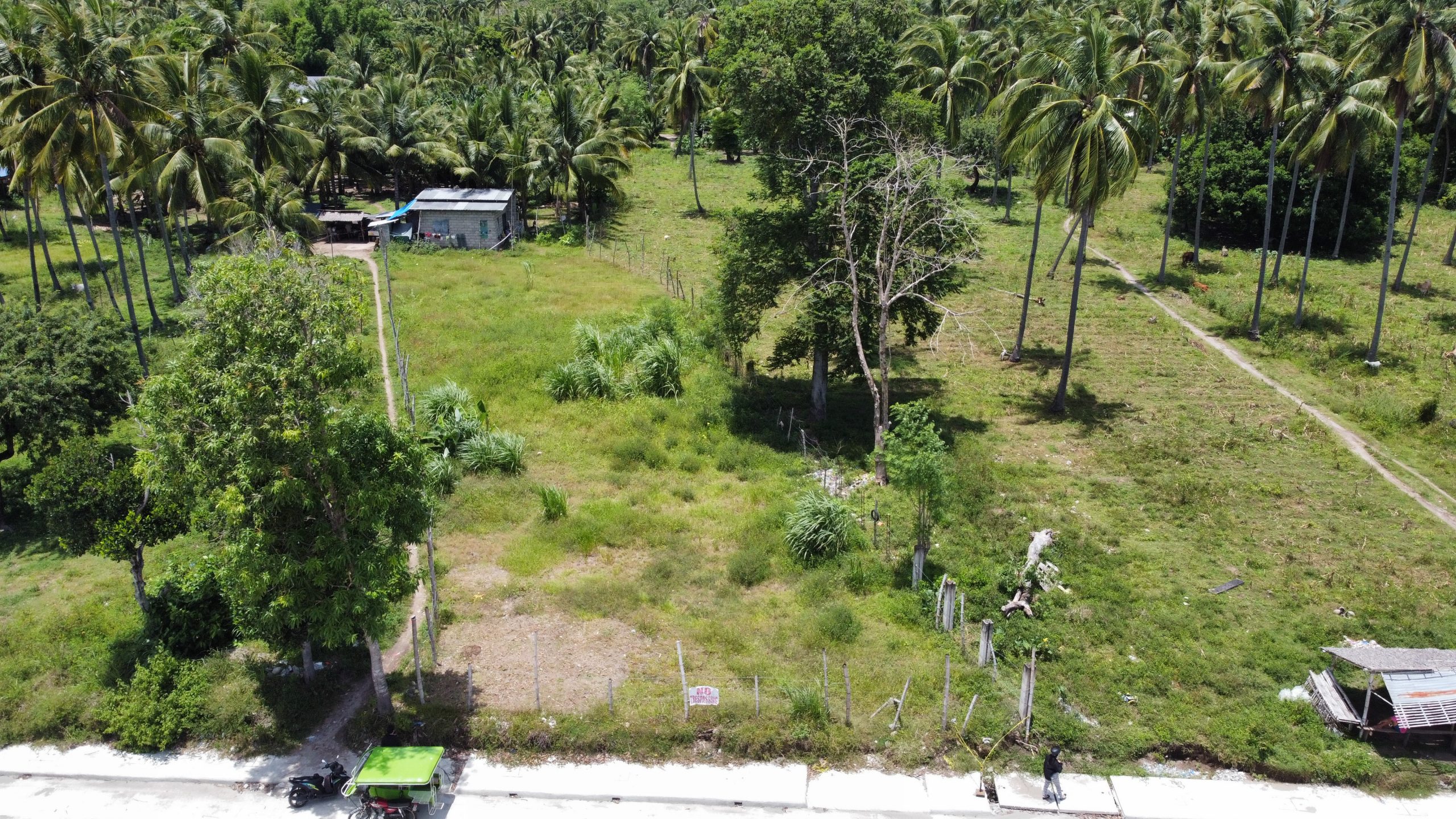 Residential Lot for Sale along Diversion Road, Bacong